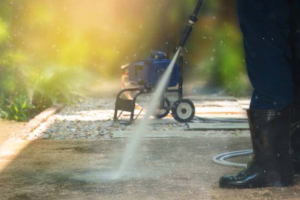 Animal Enclosure Cleaning in Bristol, VA